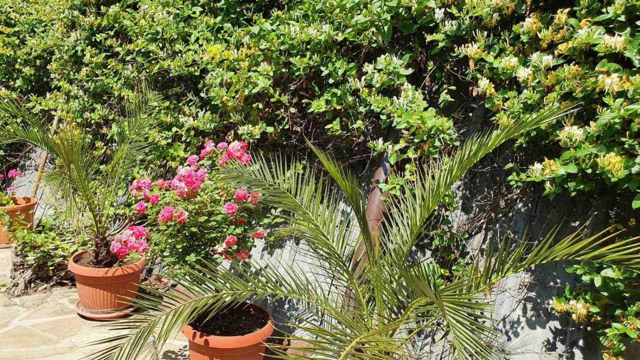 Marianas Guesthouse Obzor Dış mekan fotoğraf