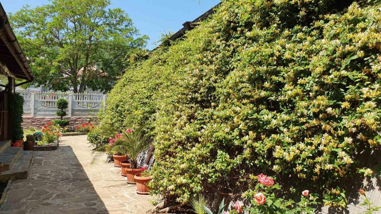 Marianas Guesthouse Obzor Dış mekan fotoğraf